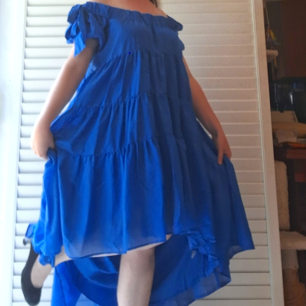 Anthropologie Blue Ruffled Chiffon High-Low Dress - Picture 5 of 16